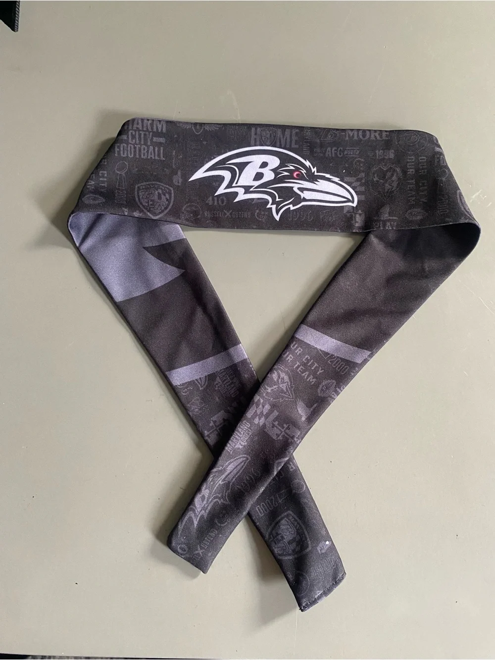 NFL baltimore ravens